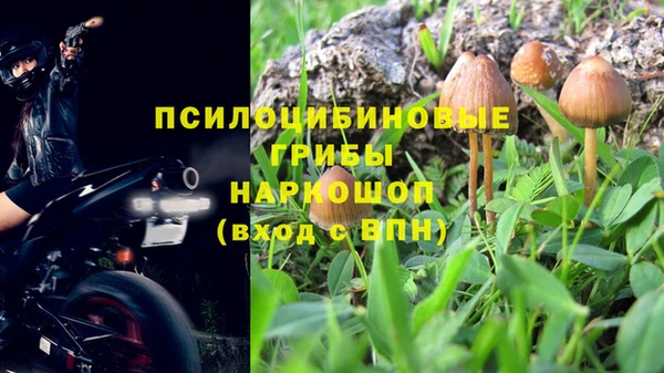 молекула духа Абинск