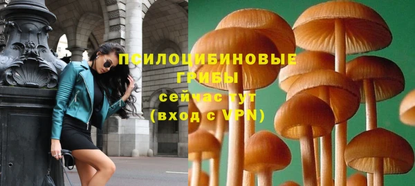 СК Абаза