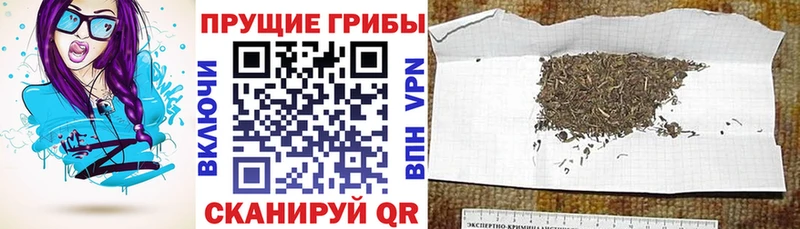 закладки  Дивногорск  площадка Telegram  Галлюциногенные грибы Magic Shrooms 